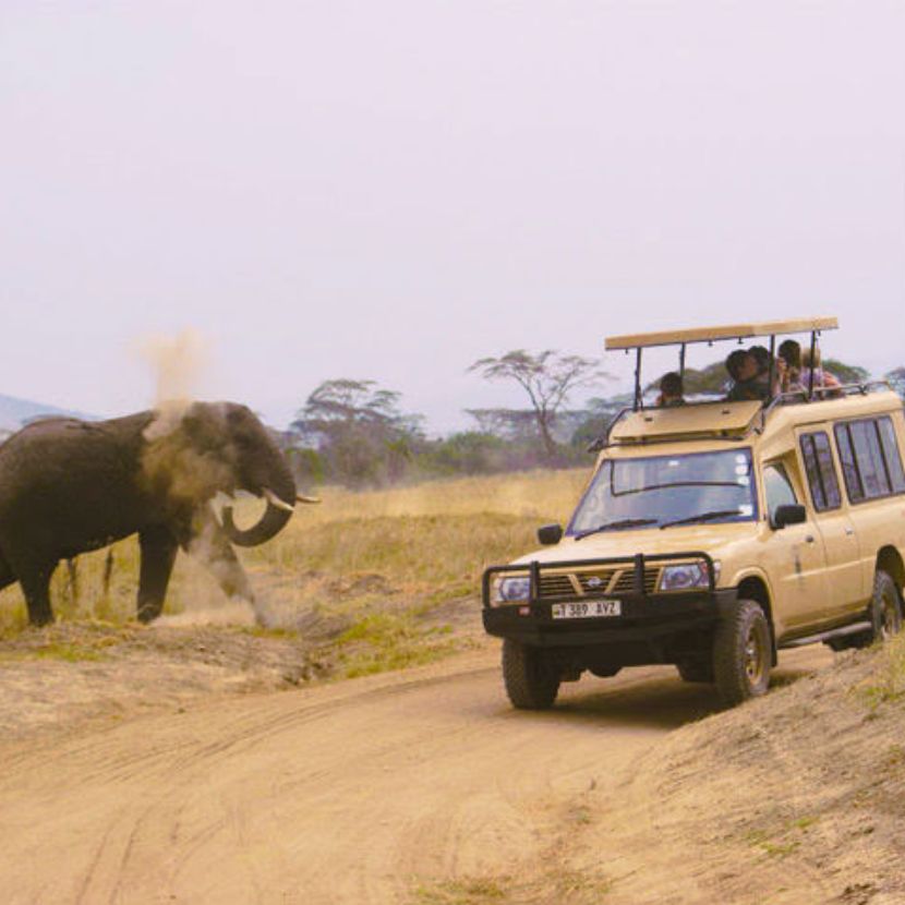 Enkai-Tanzania-tours-and-safaris-to-serengeti,-ngorongoro